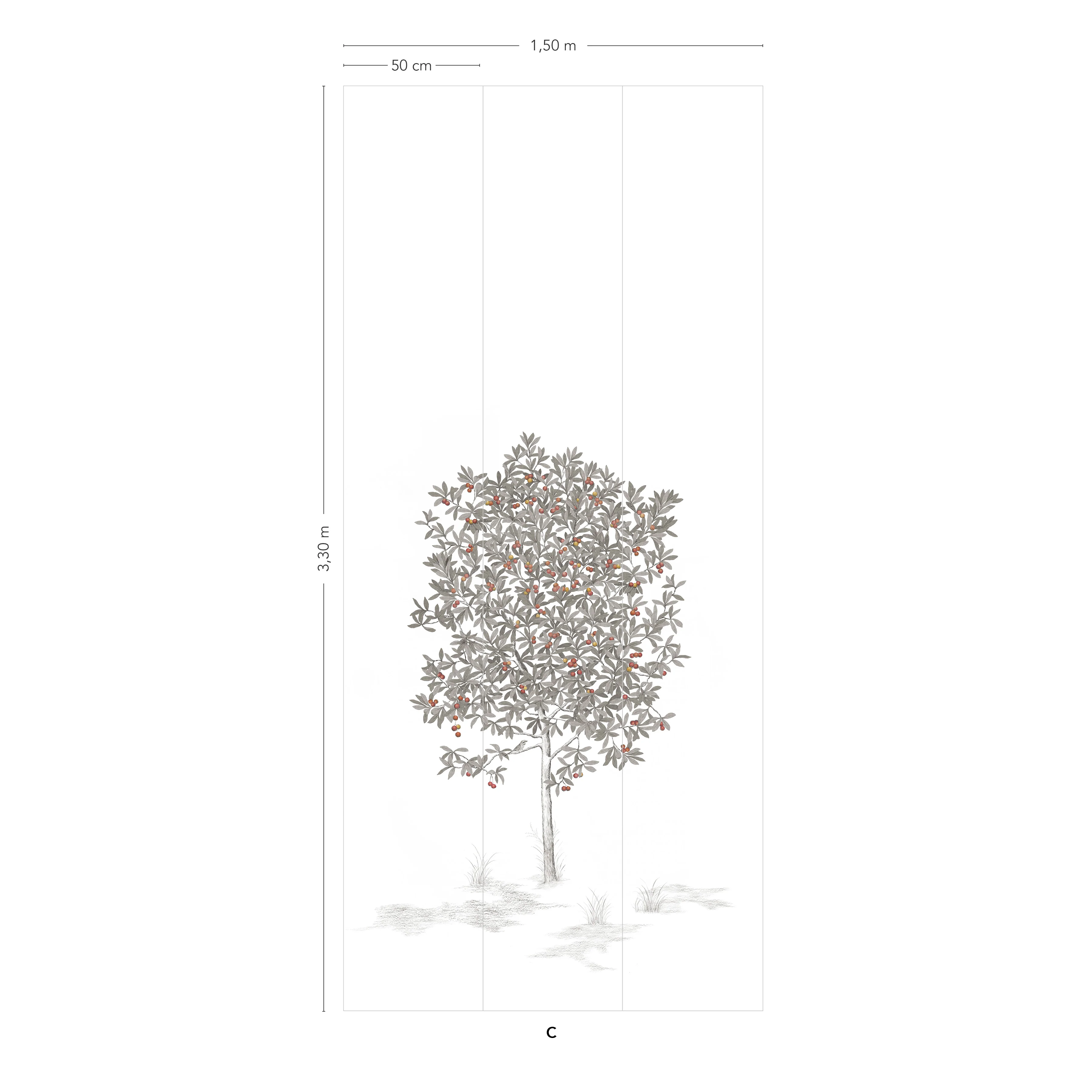 Image du produit 15