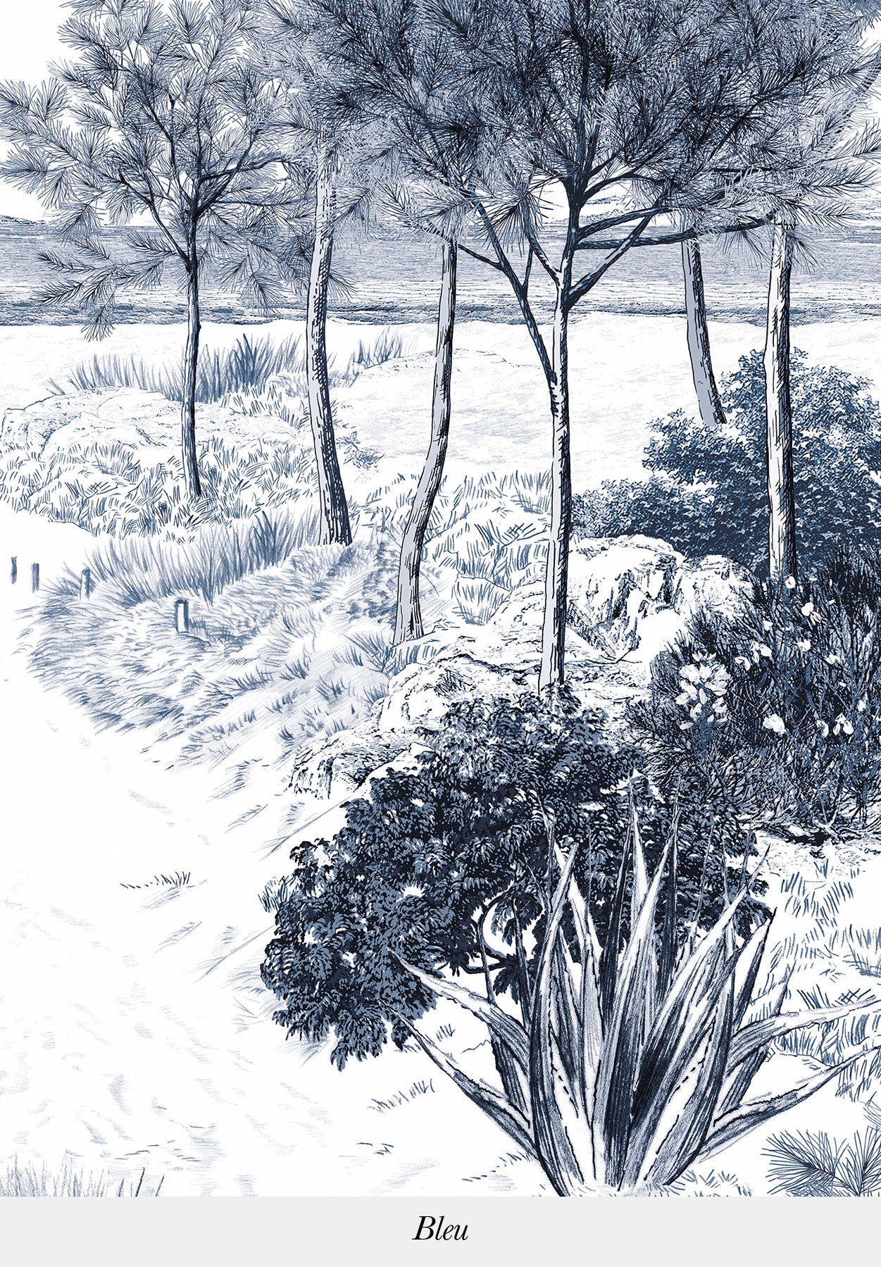 Image du produit 12